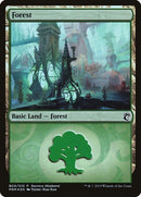 b09-forest