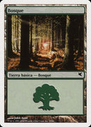 b23-forest