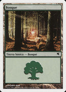 b47-forest