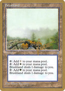 bl352-brushland