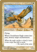 bs15-cloudchasereagle