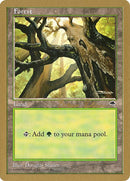 bs347-forest