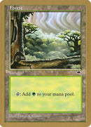 bs349-forest