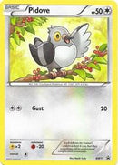 bw15-pidove