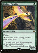 cn2-176-birdsofparadise
