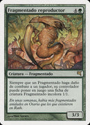 d13-broodsliver