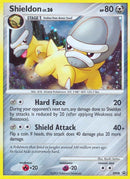 dp08-shieldon