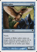 e31-sageowl