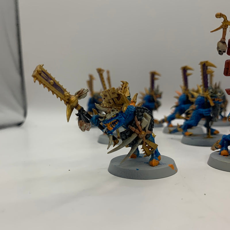 Seraphon Saurus Warrior Elites AJ005-0720