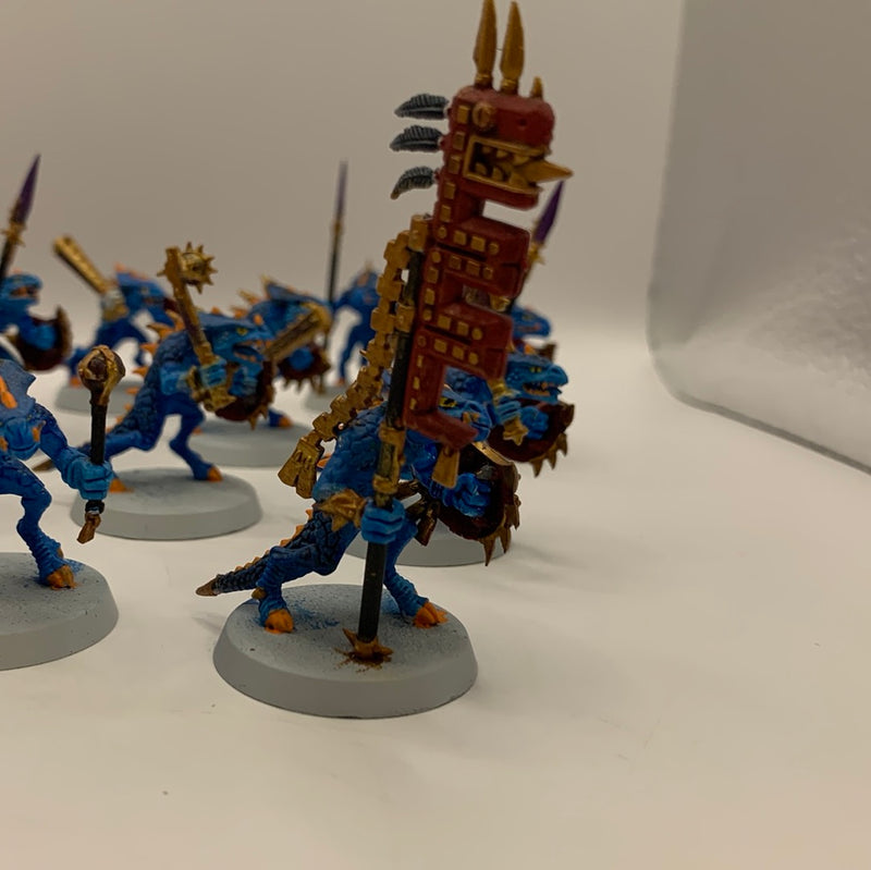 Seraphon Saurus Warriors AA166-0720