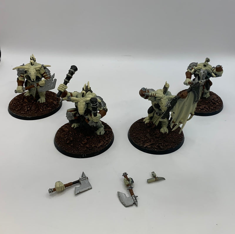 Beasts of Chaos Bullgores AU044-0720