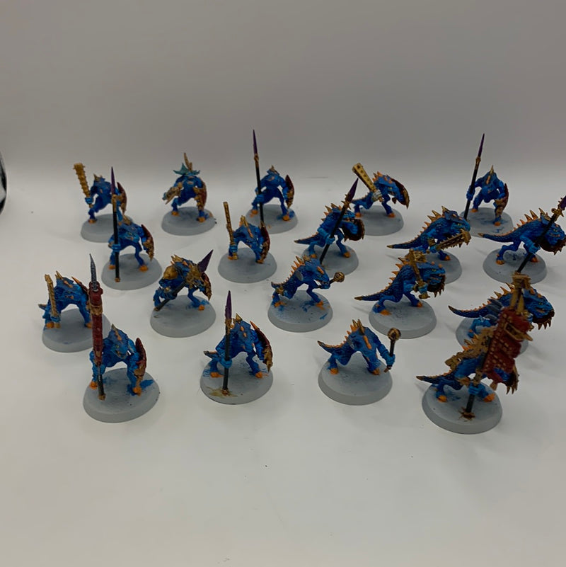 Seraphon Saurus Warriors AA166-0720