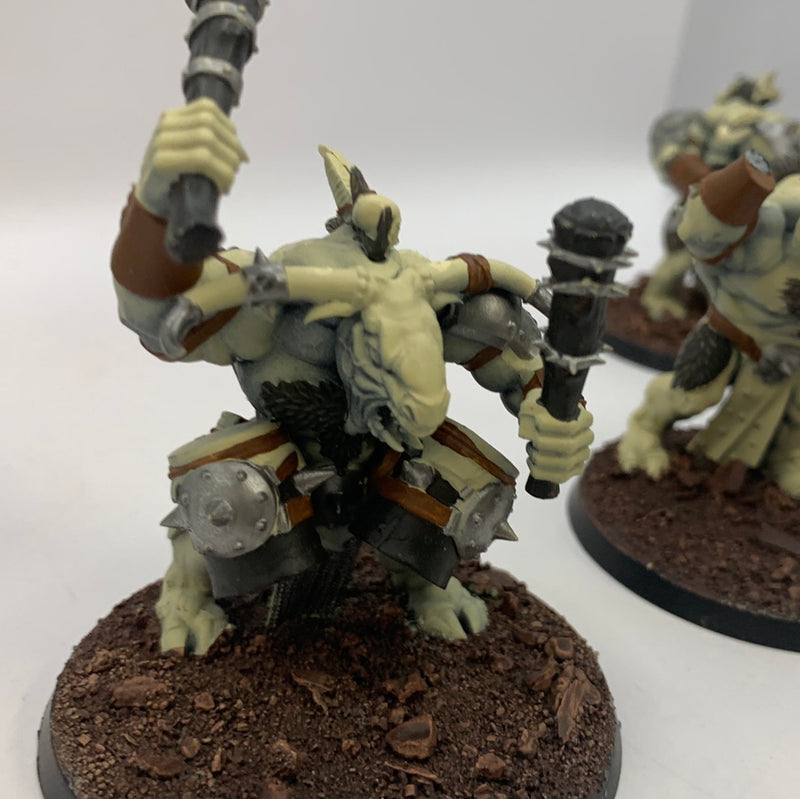 Beasts of Chaos Bullgores AU044-0720