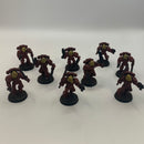 Warhammer 40k Space Marine Tactical Squad (AF083)