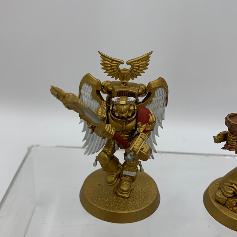 Warhammer 40k Sanguinary Guard (BA054)