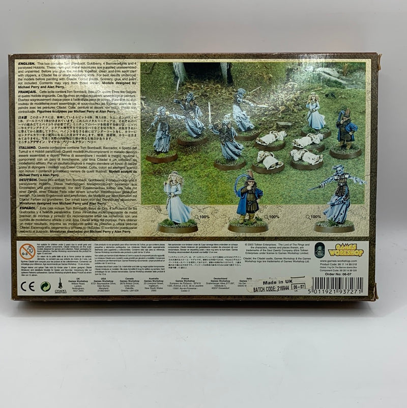 Lord of the Rings Fog on the Barrow Downs NIB OOP (AY010)