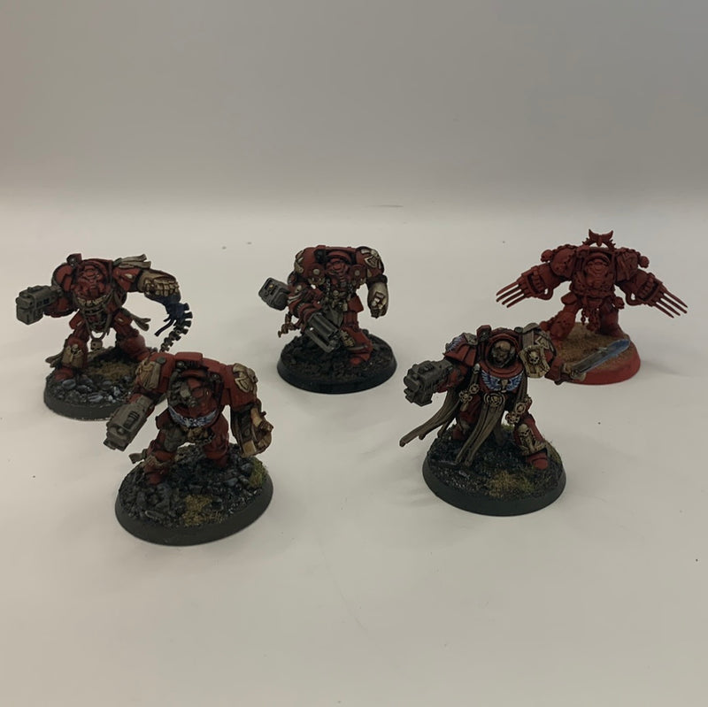 Warhammer 40k Space Marine Terminator Squad (AF099)