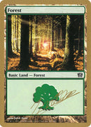 jn347-forest