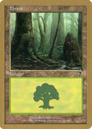 jt329-forest