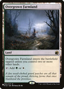 mid-265-overgrownfarmland
