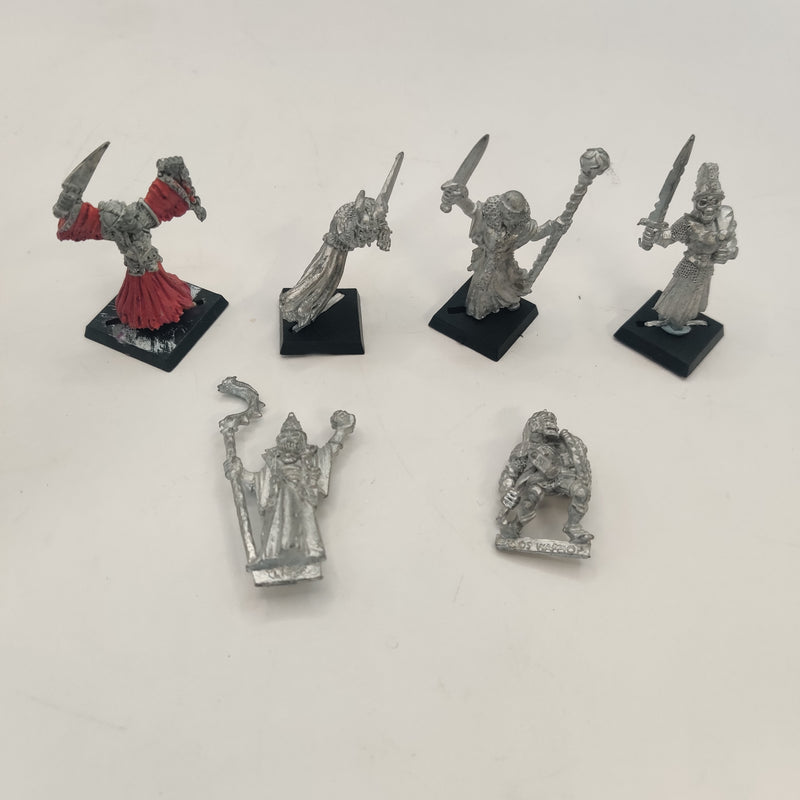 Warhammer Fantasy Marauder Undead Command Bundle AZ134