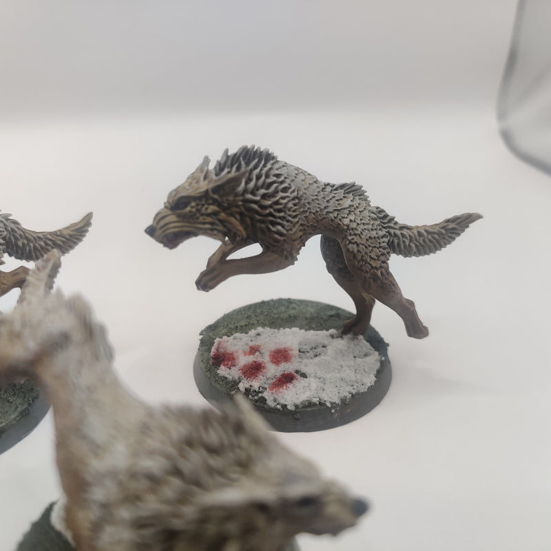 Warhammer 40k Space Wolves Fenrisian Wolves - Painted AT144