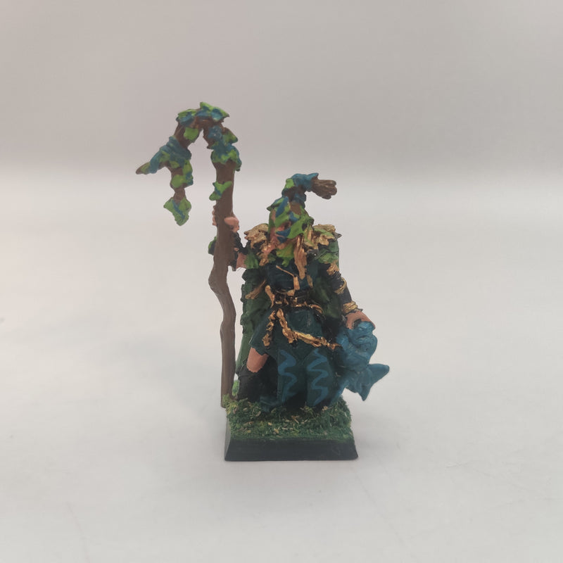 Warhammer Fantasy Wood Elf Spellsingers and Wizard on Horse AT128