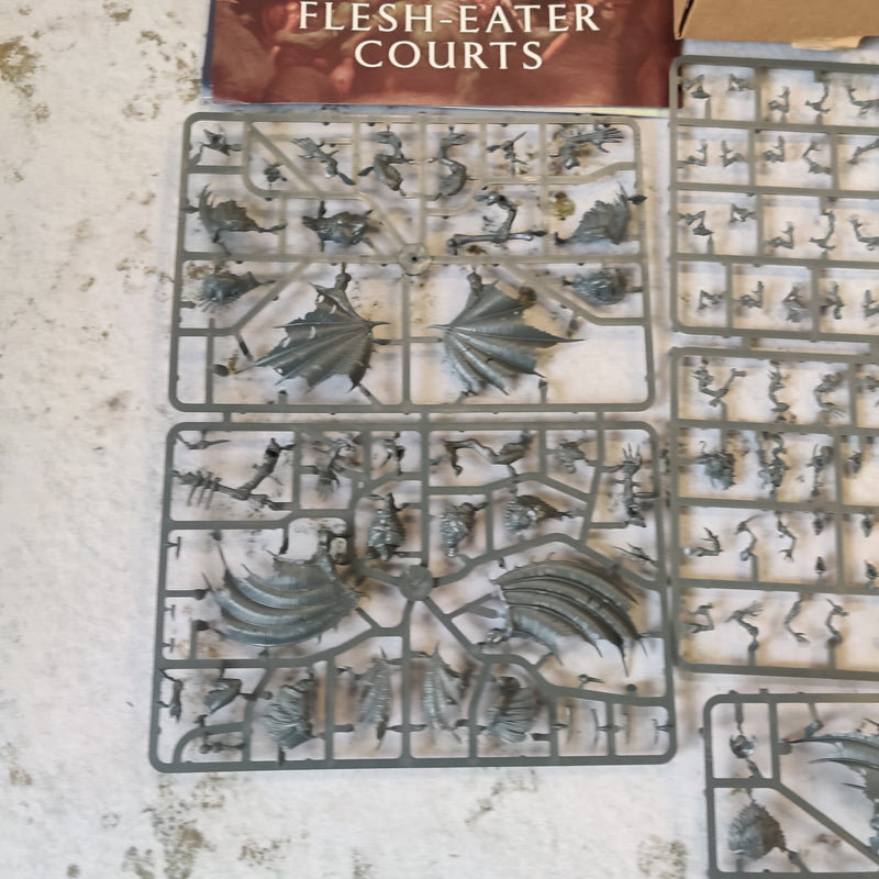 Age of Sigmar Mortal Realms Premium Kit 1 Flesh-Eater Courts BD006