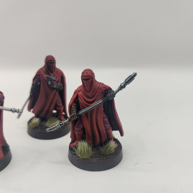 Star Wars Legion Imperial Royal Guard - Painted AC060