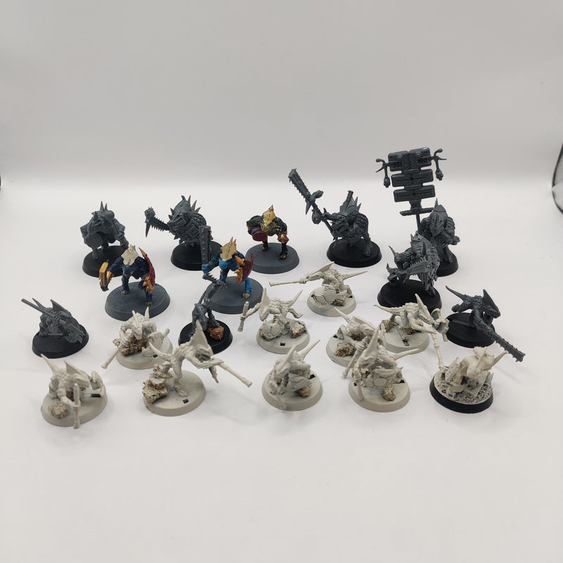 Age of Sigmar Seraphon Skinks and Saurus Bundle AI202