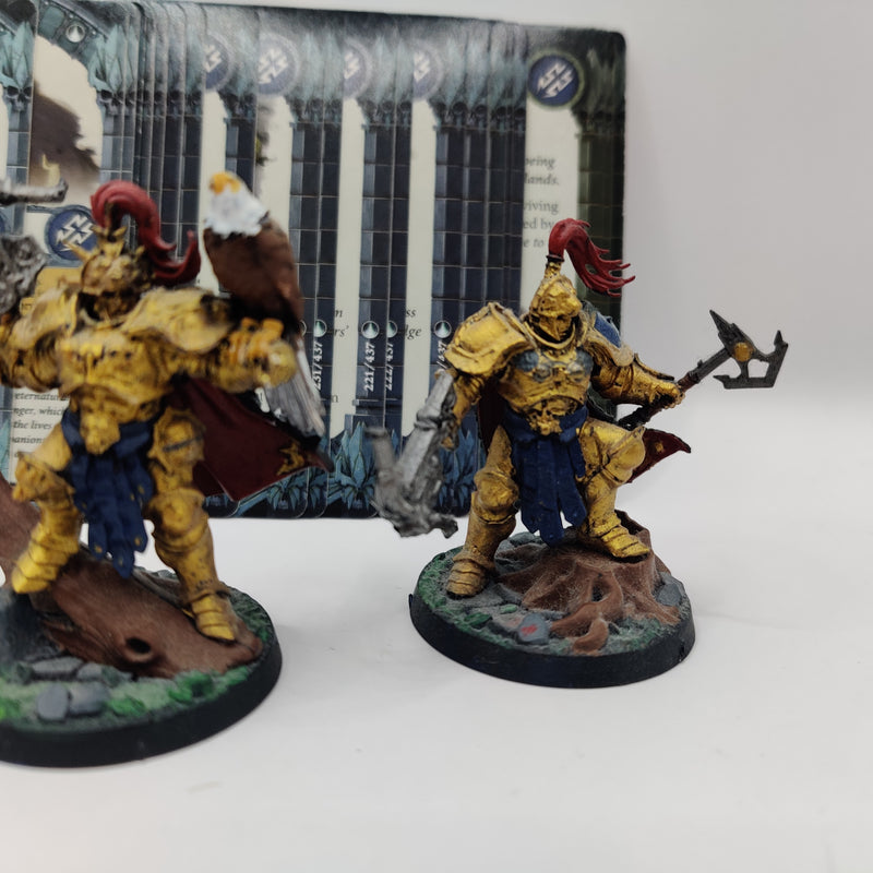 Warhammer Underworlds The Farstriders Warband inc Cards - Painted AI220