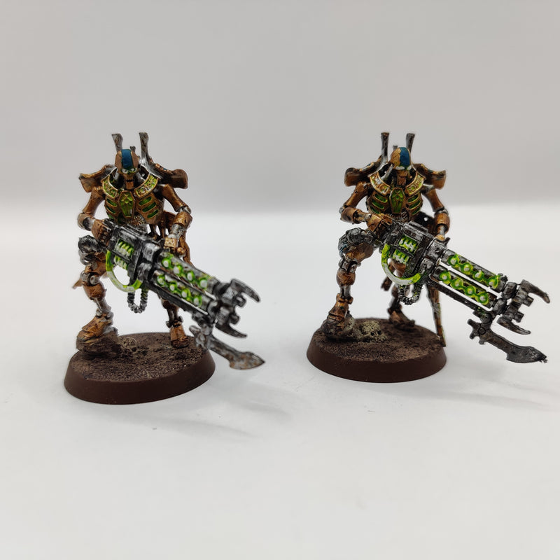 Warhammer 40k Necrons Royal Wardens x2 AF086