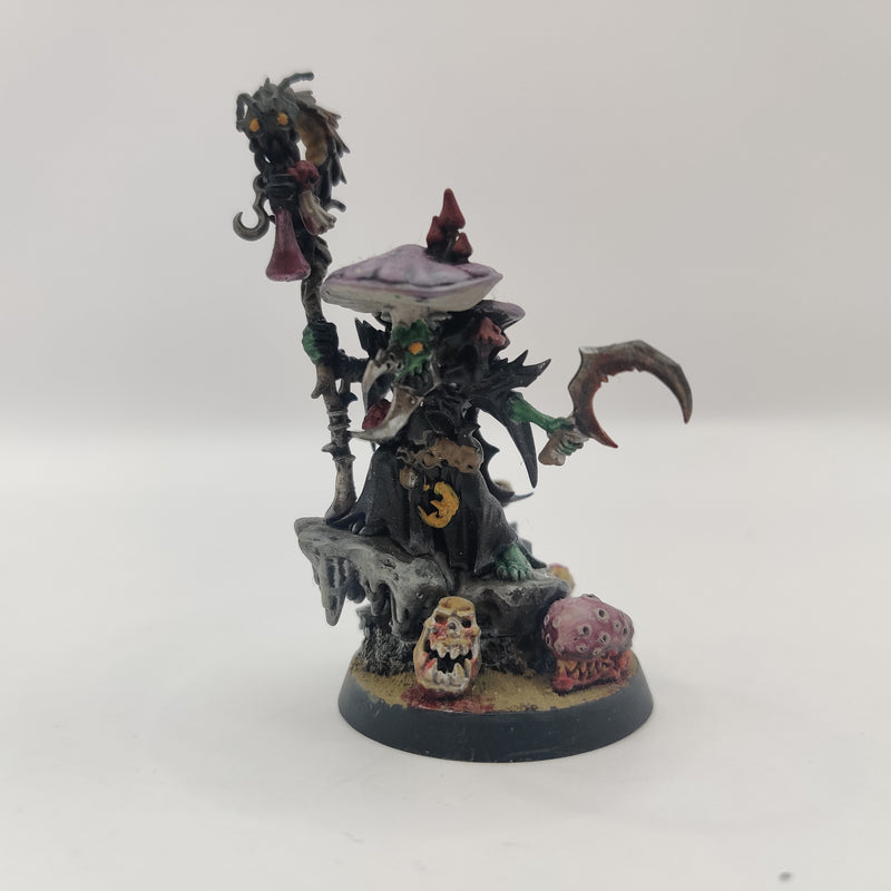 Age of Sigmar Gloomspite Gitz Fungoid Cave Shaman - Painted AE069