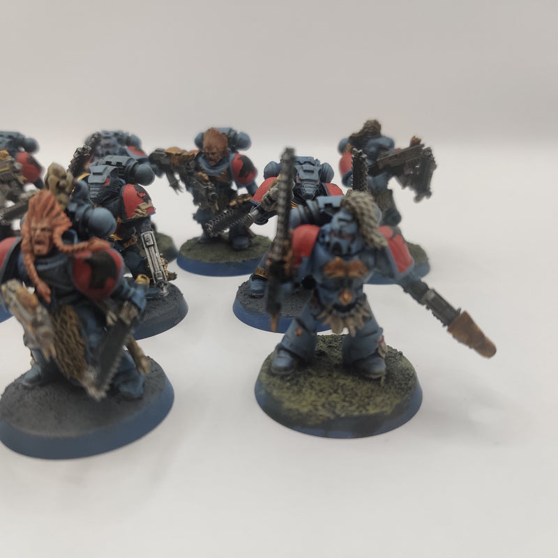 Warhammer 40k Space Wolves Blood Claws - Painted AW206