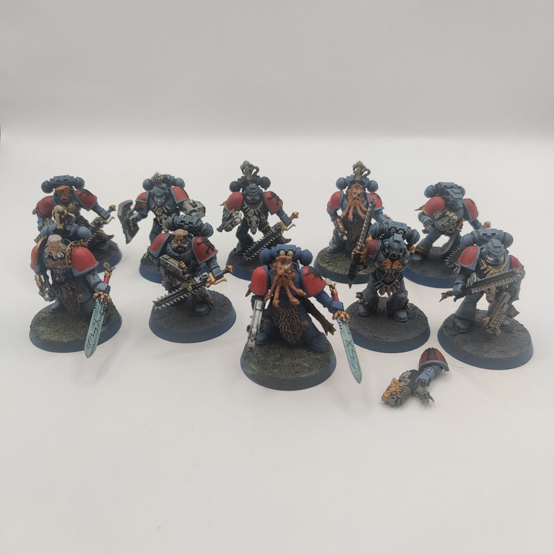 Warhammer 40k Space Wolves Blood Claws - Painted AA107