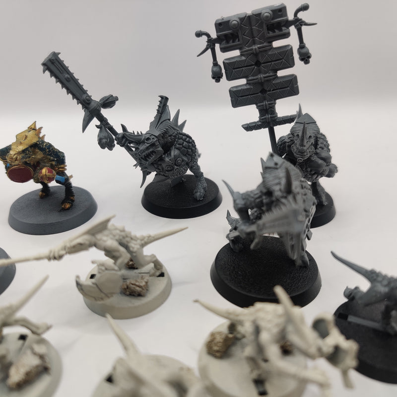 Age of Sigmar Seraphon Skinks and Saurus Bundle AI202