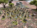 Well Painted Saga Viking Army  (BE006)