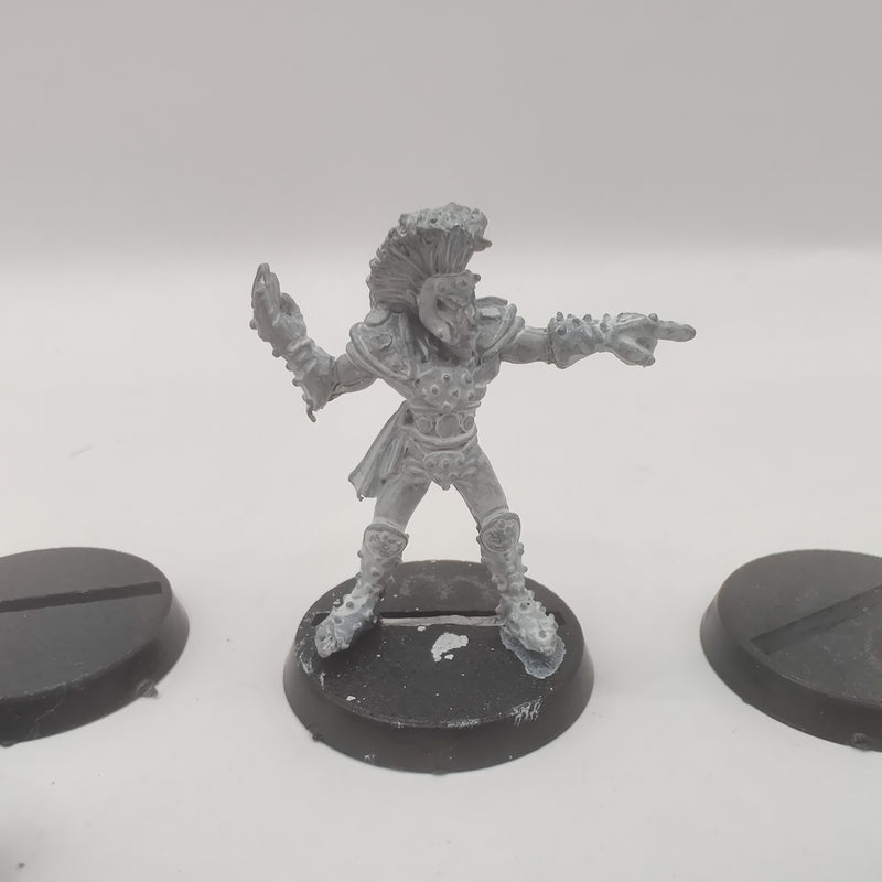 Blood Bowl 2nd Edition Elf Players - OOP Metal AI206