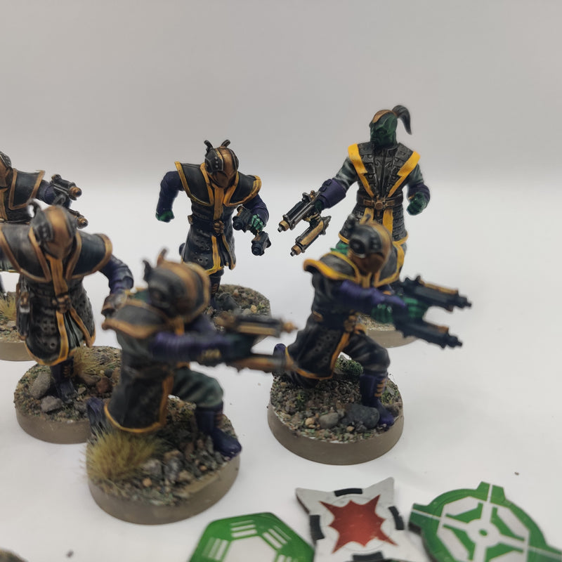 Star Wars Legion Black Sun Enforcers x2 Painted AI180