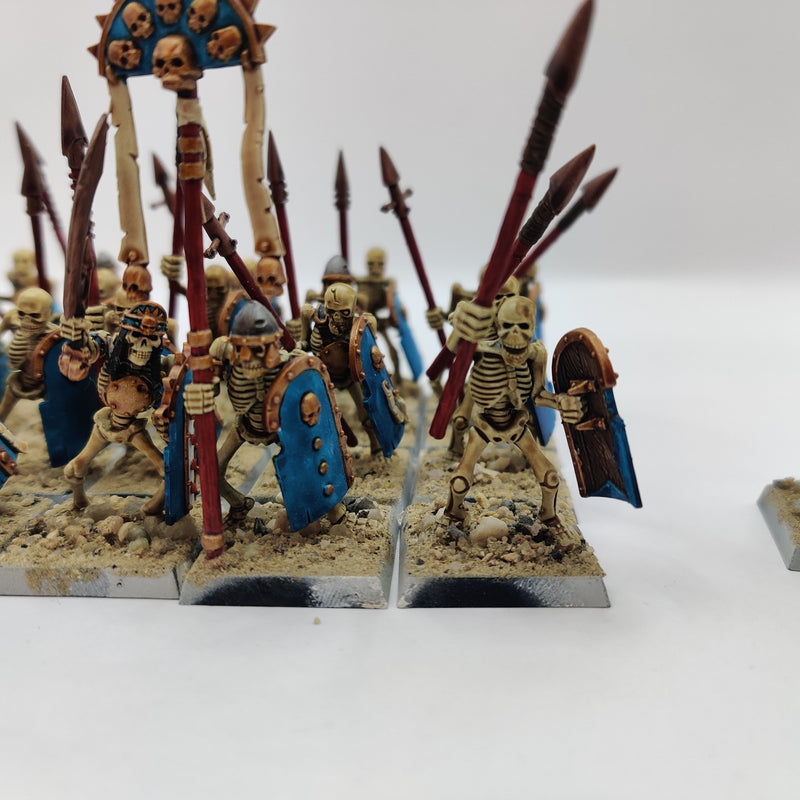 Tomb Kings of Khemri Skeleton Warriors and Tomb King - Painted AT098