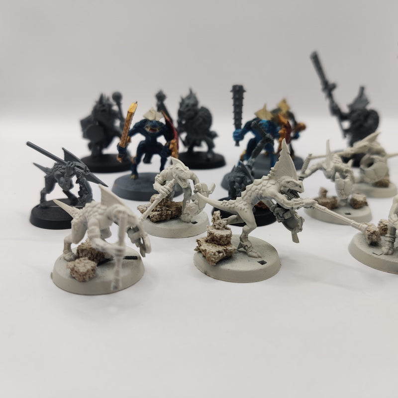 Age of Sigmar Seraphon Skinks and Saurus Bundle AI202