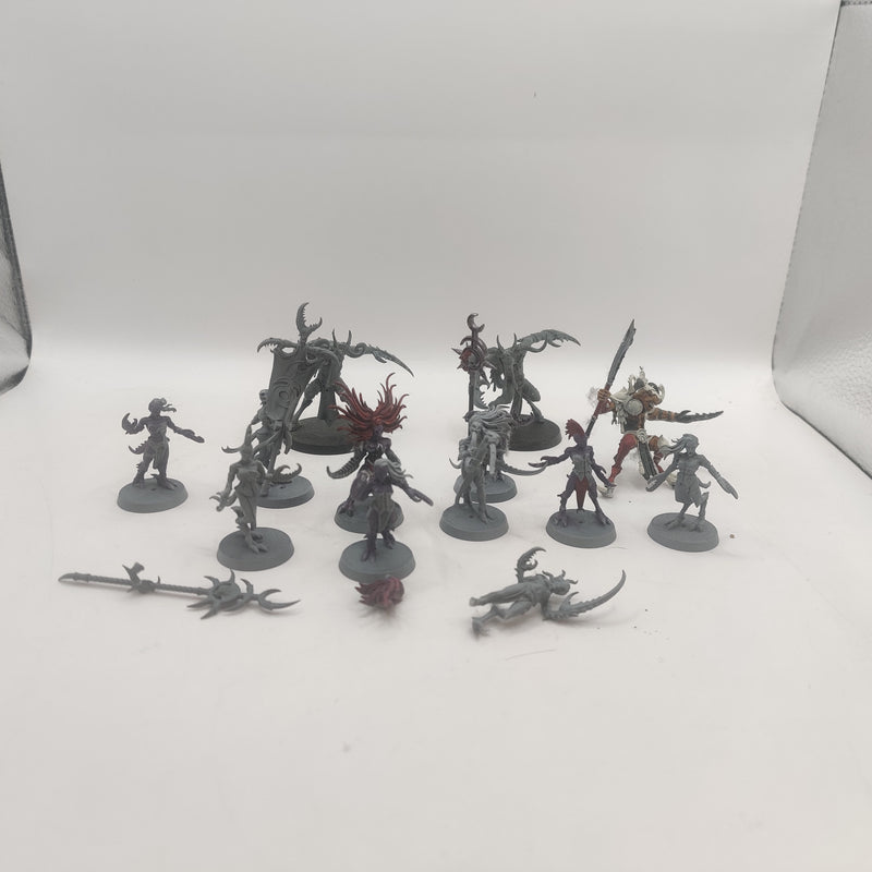 Age of Sigmar Hedonites of Slaanesh Slaangor Fiendbloods and Daemonettes AE001-0411