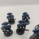 Warhammer 40k Crimson Fists Sternguard Veteran Squad - OOP Painted AD061