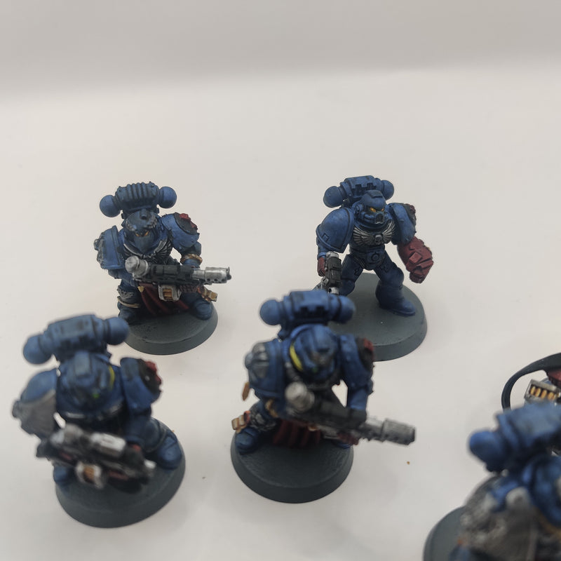 Warhammer 40k Crimson Fists Sternguard Veteran Squad - OOP Painted AD061