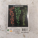 Warhammer Citadel Creeping Vines - in Box AY205