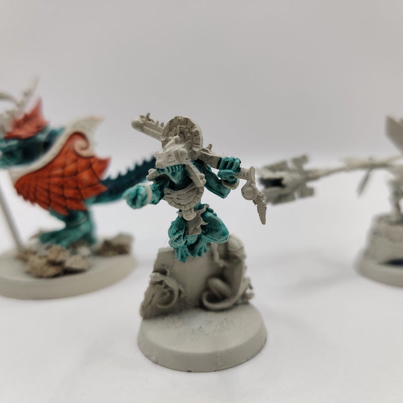 Age of Sigmar Seraphon Character Bundle BC071