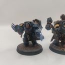 Warhammer 40k Space Wolves Wolf Guard Terminators with Lightning Claws - Painted AQ004