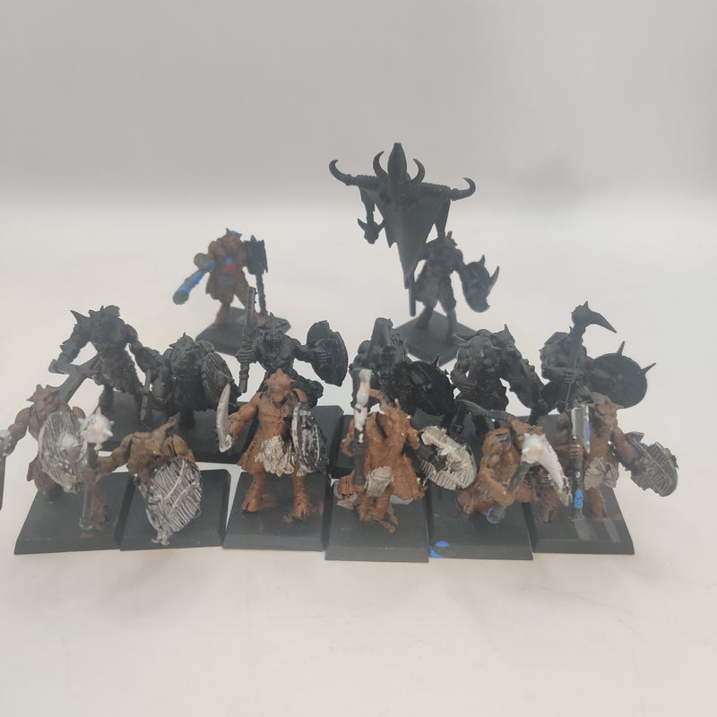 Warhammer Fantasy Beasts of Chaos Gor Regiment BA162