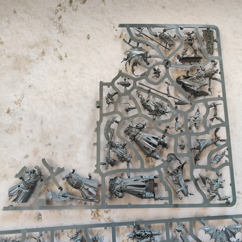 Warhammer Quest Cursed City - Missing Vrykos and Vargskyr AV017