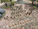 Wargames Foundry Ancient Greeks Spartan Army Beautifully Painted   (BE008)